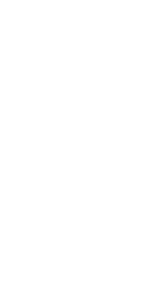 background graphic